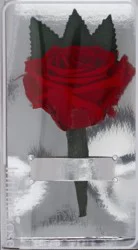 InfiniteRose Preserved Rose Boutaniere - EA