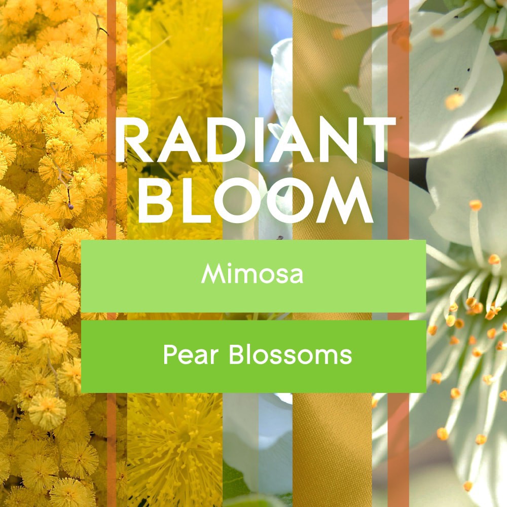 slide 3 of 6, Glade Candles, Radiant Bloom Limited Edition, 2 ct / 4.08 oz