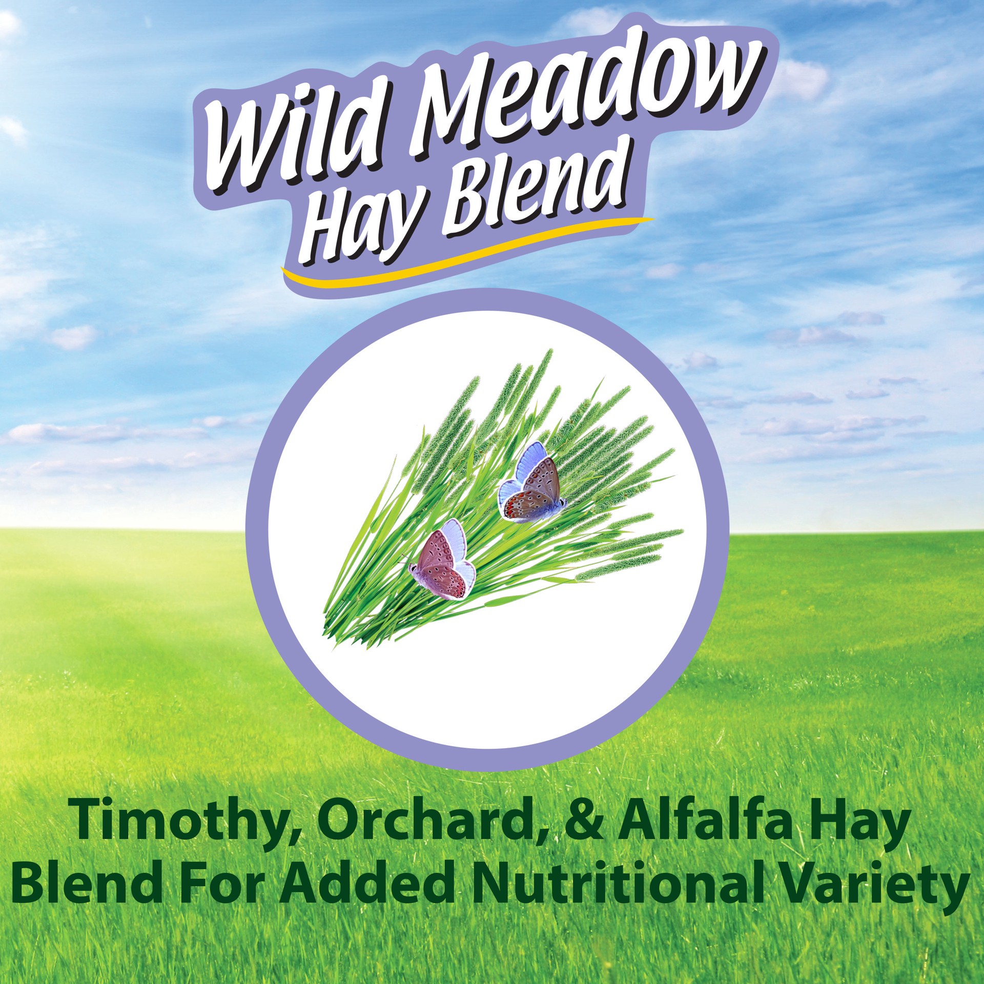 slide 7 of 10, Kaytee Wild Meadow Hay Blend 24 Ounces, 1 ct