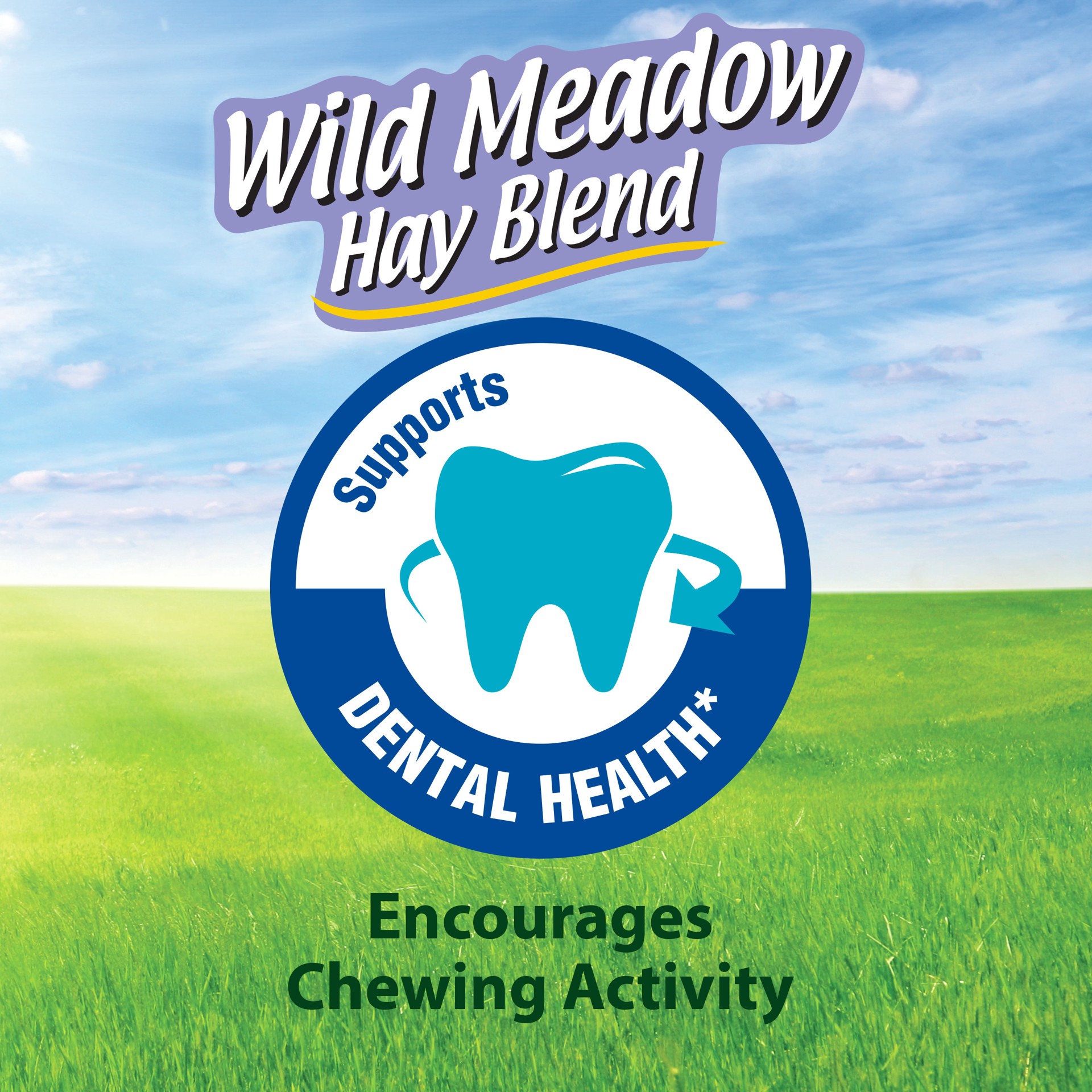 slide 5 of 10, Kaytee Wild Meadow Hay Blend 24 Ounces, 1 ct