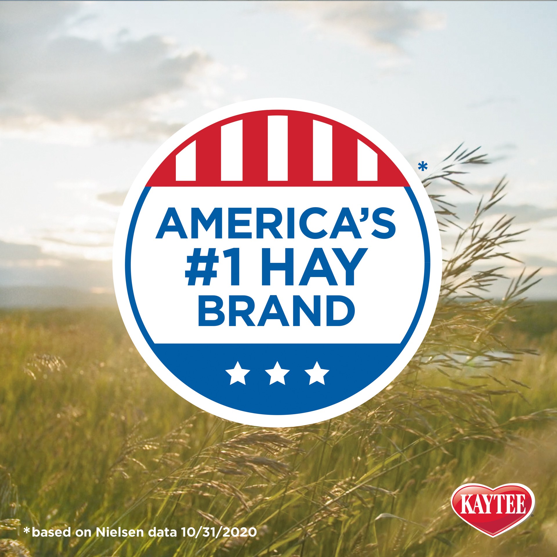 slide 8 of 10, Kaytee Wild Meadow Hay Blend 24 Ounces, 1 ct