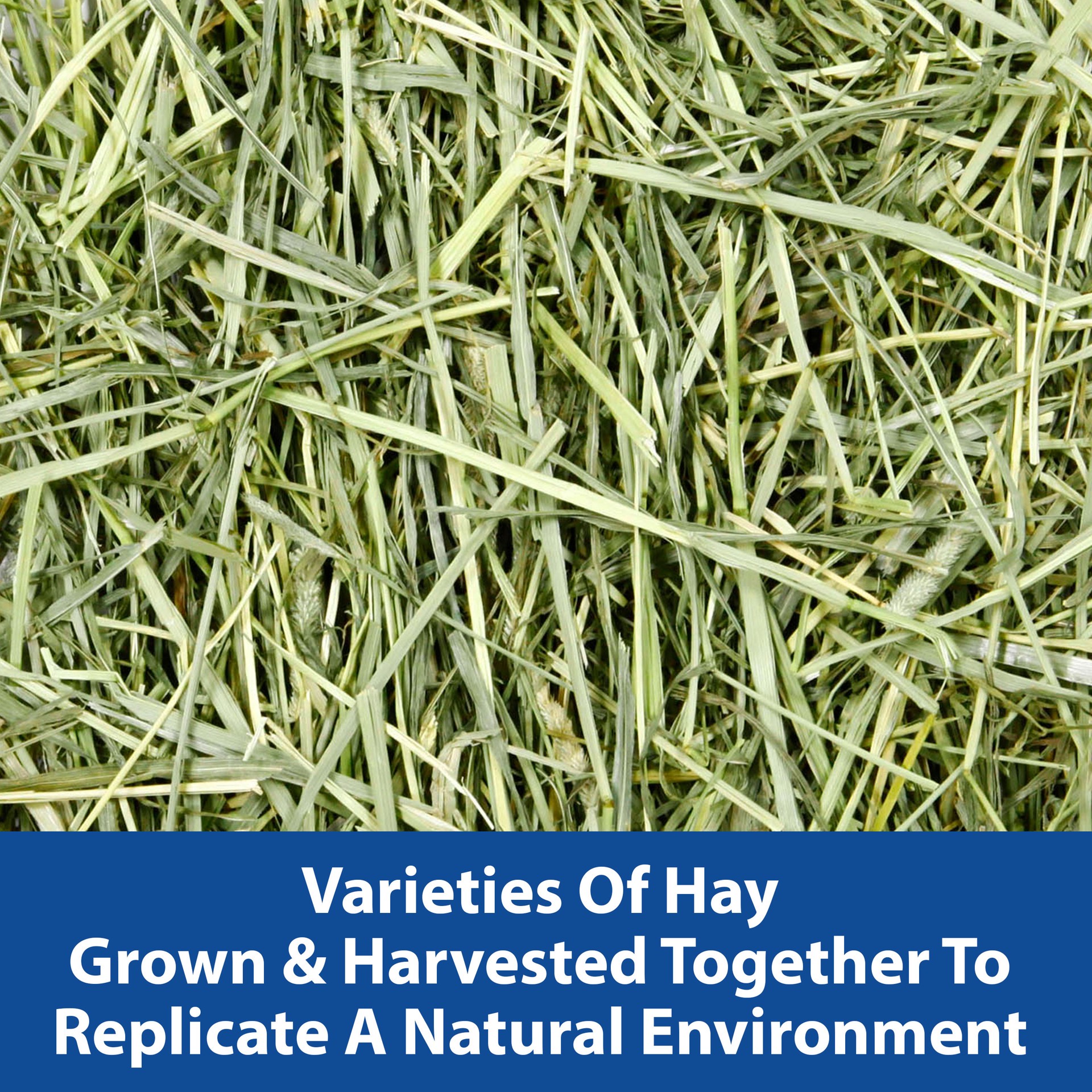 slide 2 of 10, Kaytee Wild Meadow Hay Blend 24 Ounces, 1 ct