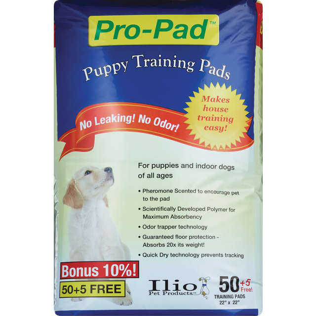 slide 1 of 1, NON BRAND Ilio Pet Products Pro-Pad Puppy Training Pads 22"X22", 1 ct