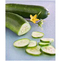 slide 2 of 5, Bonnie Plants Cucumber - Burpless Bush Hybrid, 606 ct