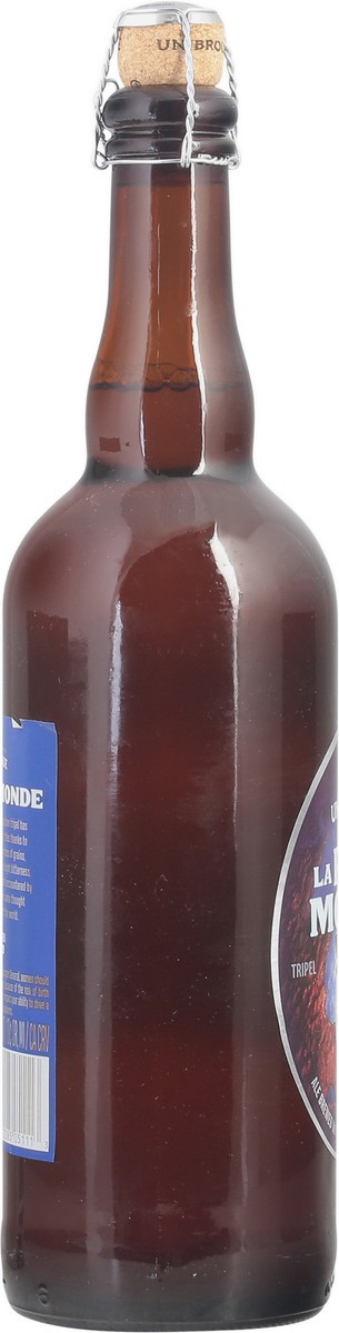 slide 9 of 11, Unibroue La Fin Du Monde Beer 25.4 fl oz, 25.4 fl oz
