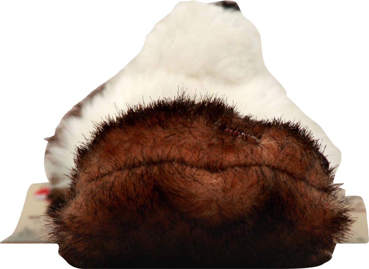 slide 6 of 11, SPOT Breaded & Plush Dog Toy 1 ea, 1 ct