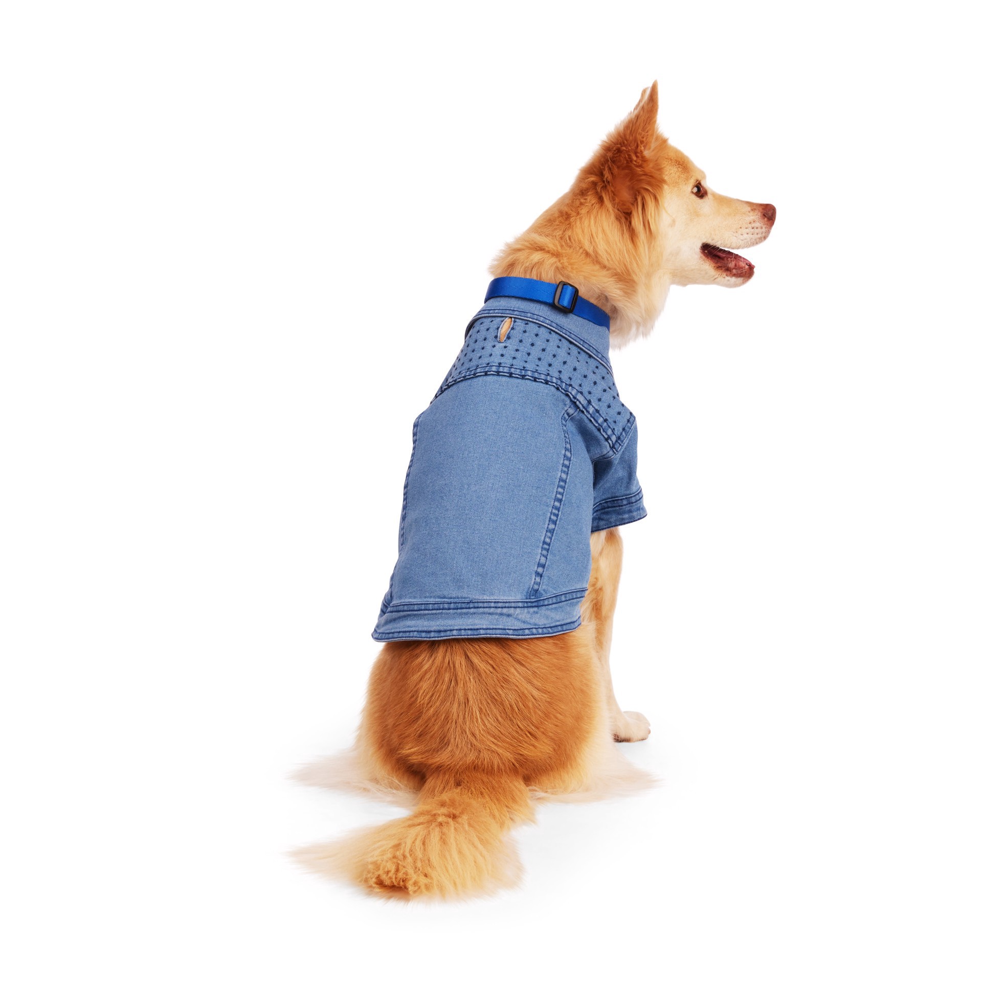 slide 1 of 1, YOULY Blue Denim Jacket for Dogs, XX-Small, 1 ct