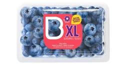Jumbo Blueberries