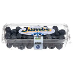 Fruitist Jumbo Blueberries 9.8 oz