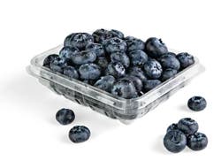 Blueberries