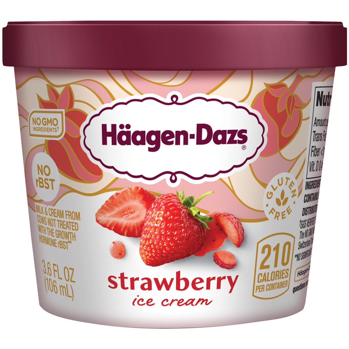 slide 1 of 10, Häagen-Dazs Ice Cream, 3.6 fl oz