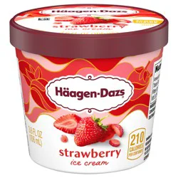 Häagen-Dazs Ice Cream, Strawberry