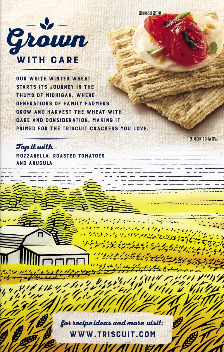 slide 6 of 9, Triscuit Rosemary & Olive Oil Whole Grain Wheat Crackers, 8.5 oz, 8.5 oz