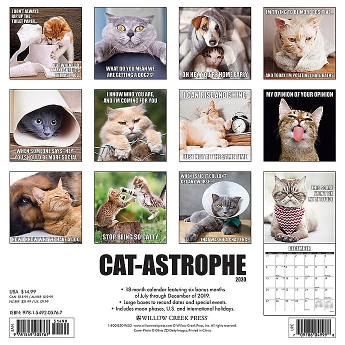 slide 2 of 3, Willow Creek Press 2020 Cat-Astrophe 18-Month Wall Calendar, 1 ct
