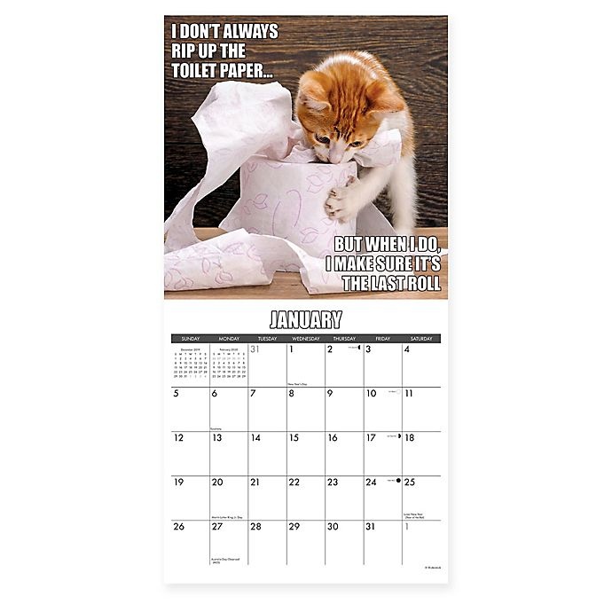 slide 3 of 3, Willow Creek Press 2020 Cat-Astrophe 18-Month Wall Calendar, 1 ct