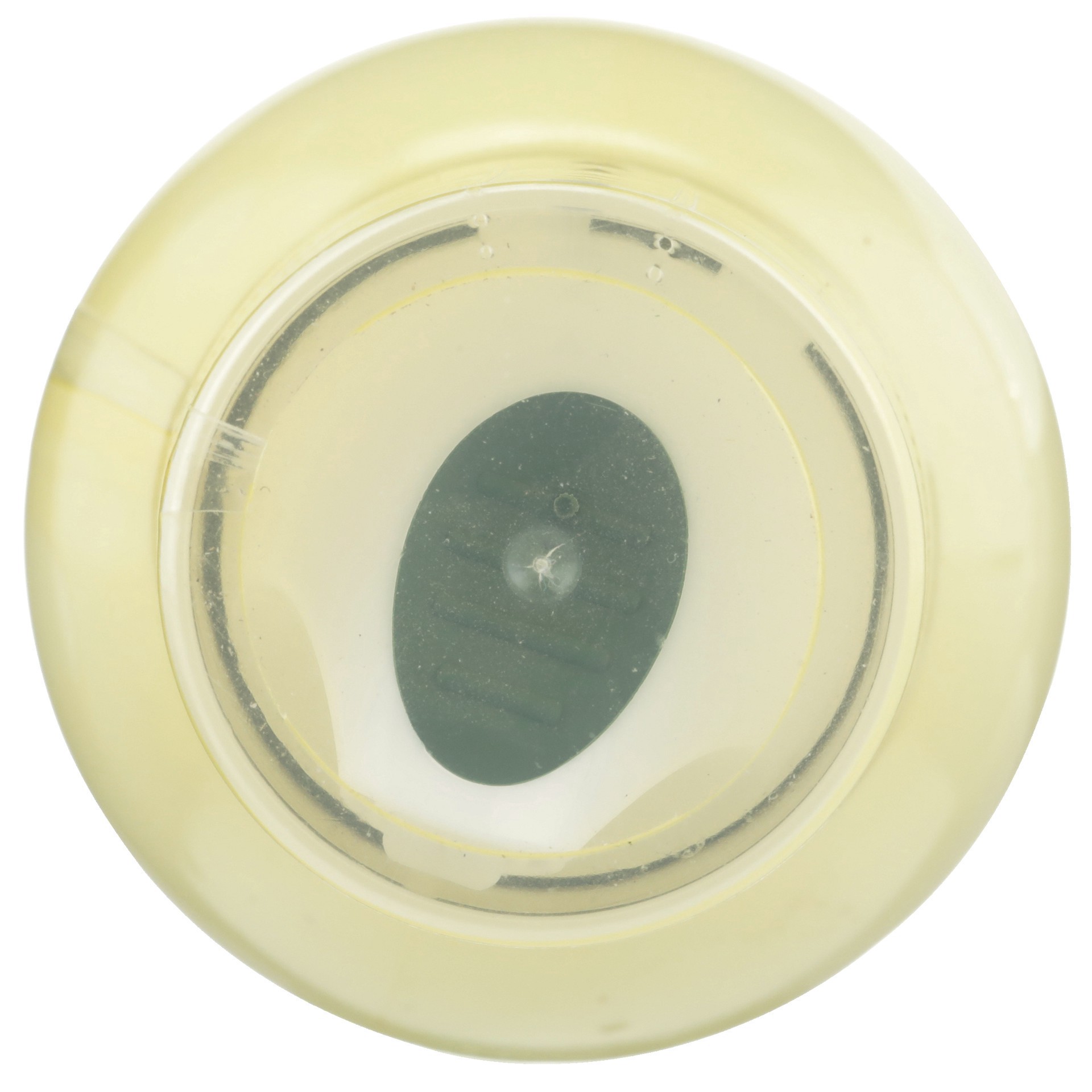 slide 6 of 6, Gustare Vita Extra Virgin Olive Oil Spray, 5 fl oz