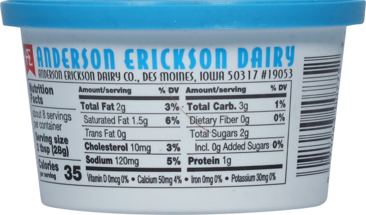 slide 2 of 11, Anderson Erickson Dairy AE Dairy Lite Party Sour Cream Dip, 8 oz