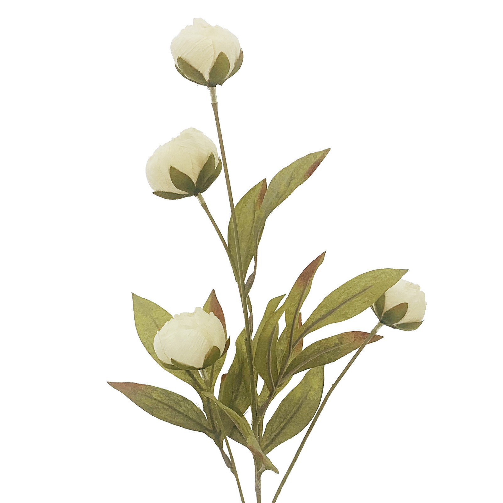 slide 3 of 5, Cream Peony Stem By Ashland, 28 in