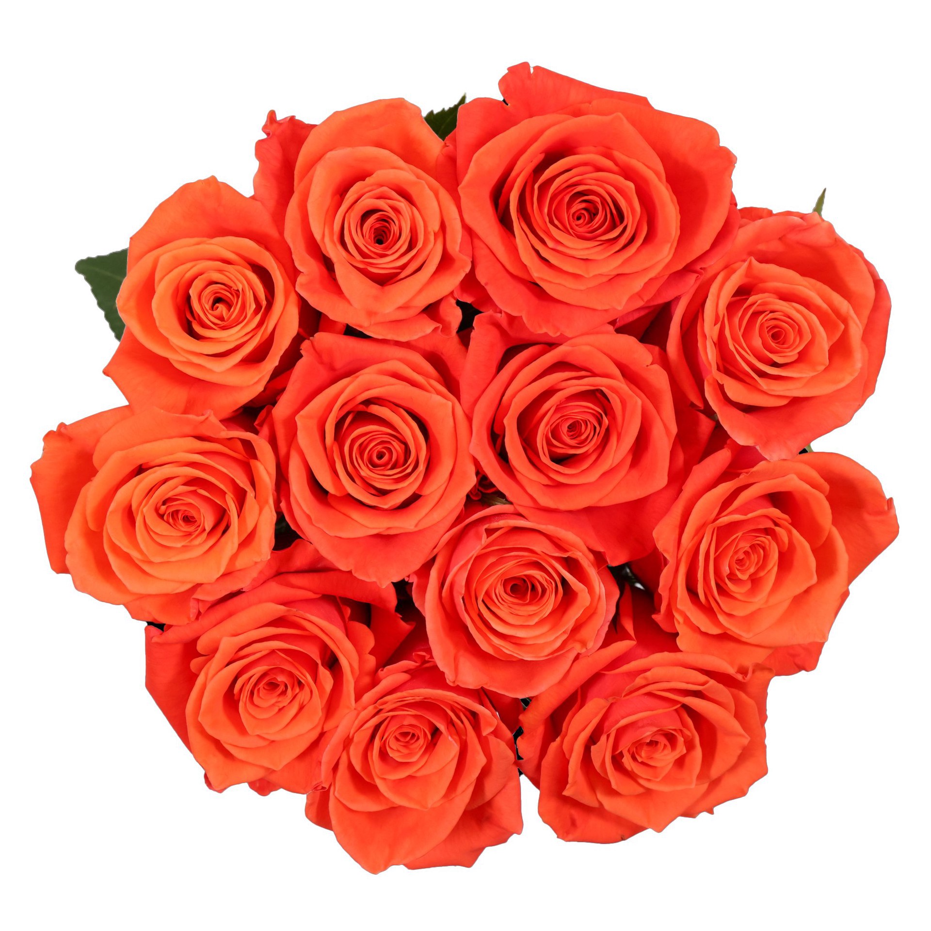 slide 1 of 1, BLOOMS by H-E-B Dozen Orange Roses, 1 ct