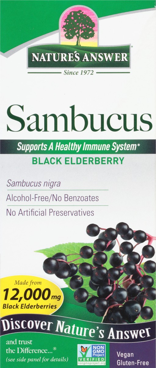 slide 2 of 9, Nature's Answer 12,000 mg Black Elderberry Sambucus 8 fl oz, 8 fl oz