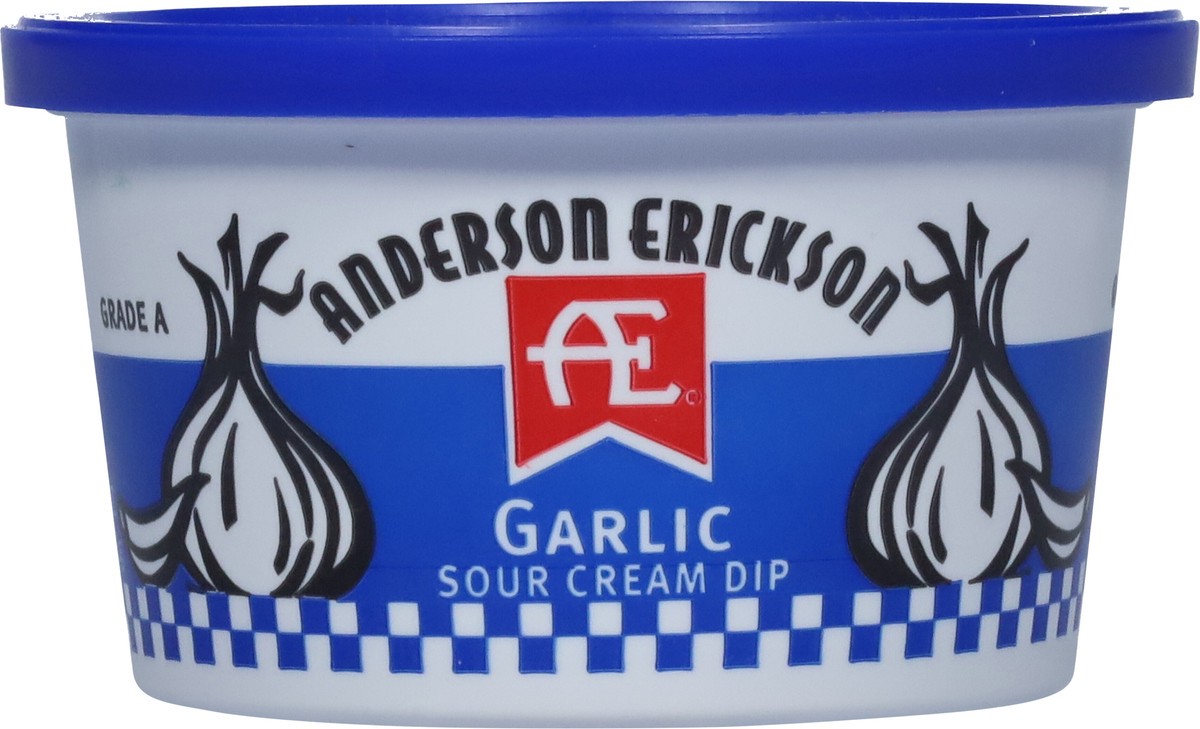 slide 2 of 11, AE Dairy Garlic Sour Cream Dip, 8 oz