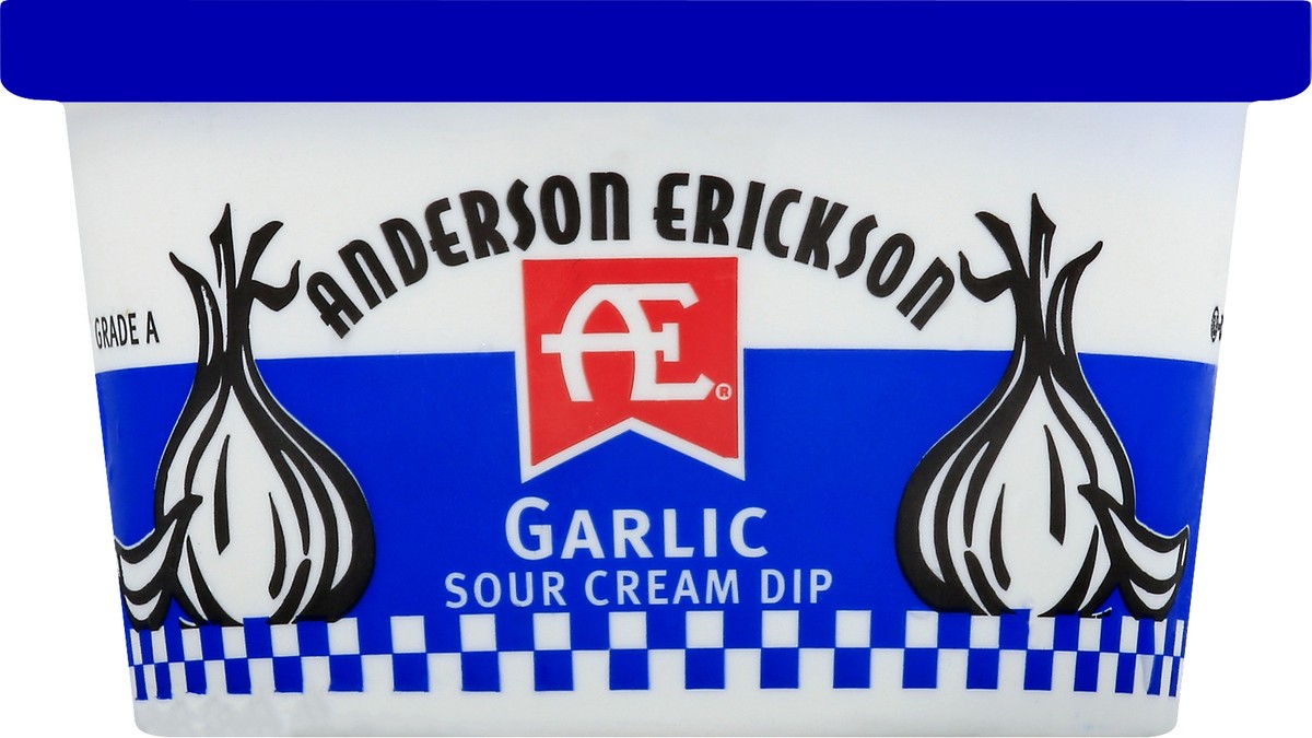 slide 1 of 11, Anderson Erickson Dairy Sour Cream Dip 8 oz, 8 oz