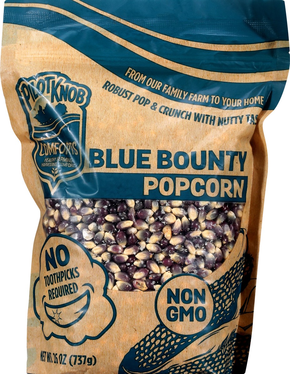 slide 1 of 1, Pilot Knob Comforts Blue Bounty Popcorn 26 oz, 26 oz