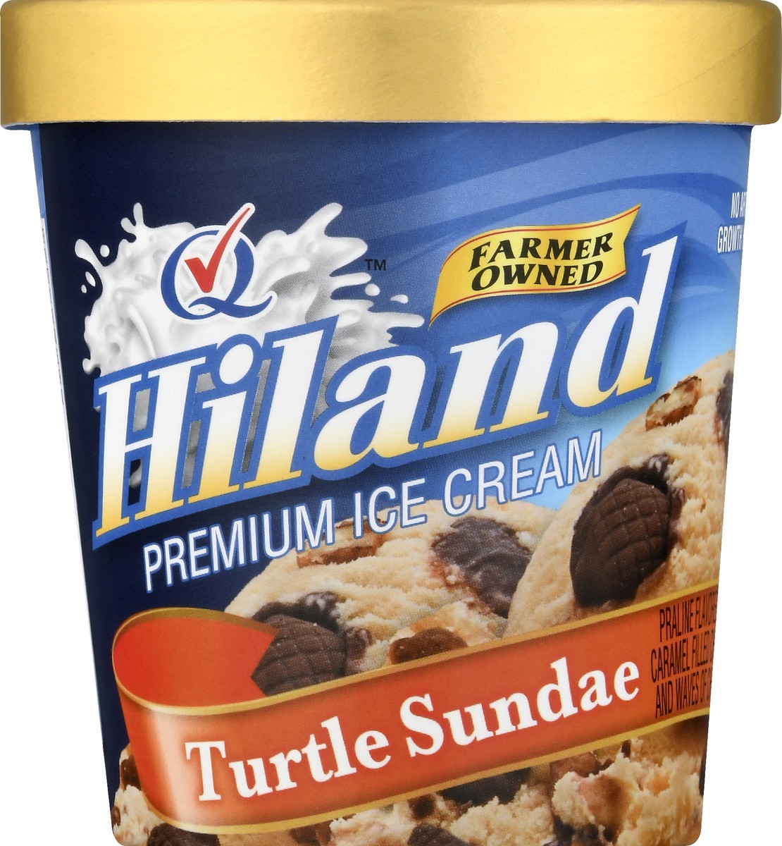 slide 5 of 13, Hiland Dairy Premium Turtle Sundae Ice Cream 1 pt, 1 pint