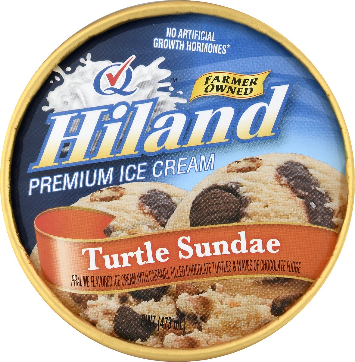 slide 11 of 13, Hiland Dairy Premium Turtle Sundae Ice Cream 1 pt, 1 pint