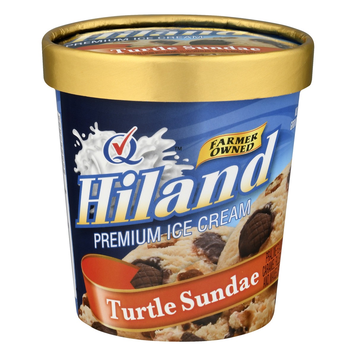 slide 9 of 13, Hiland Dairy Premium Turtle Sundae Ice Cream 1 pt, 1 pint