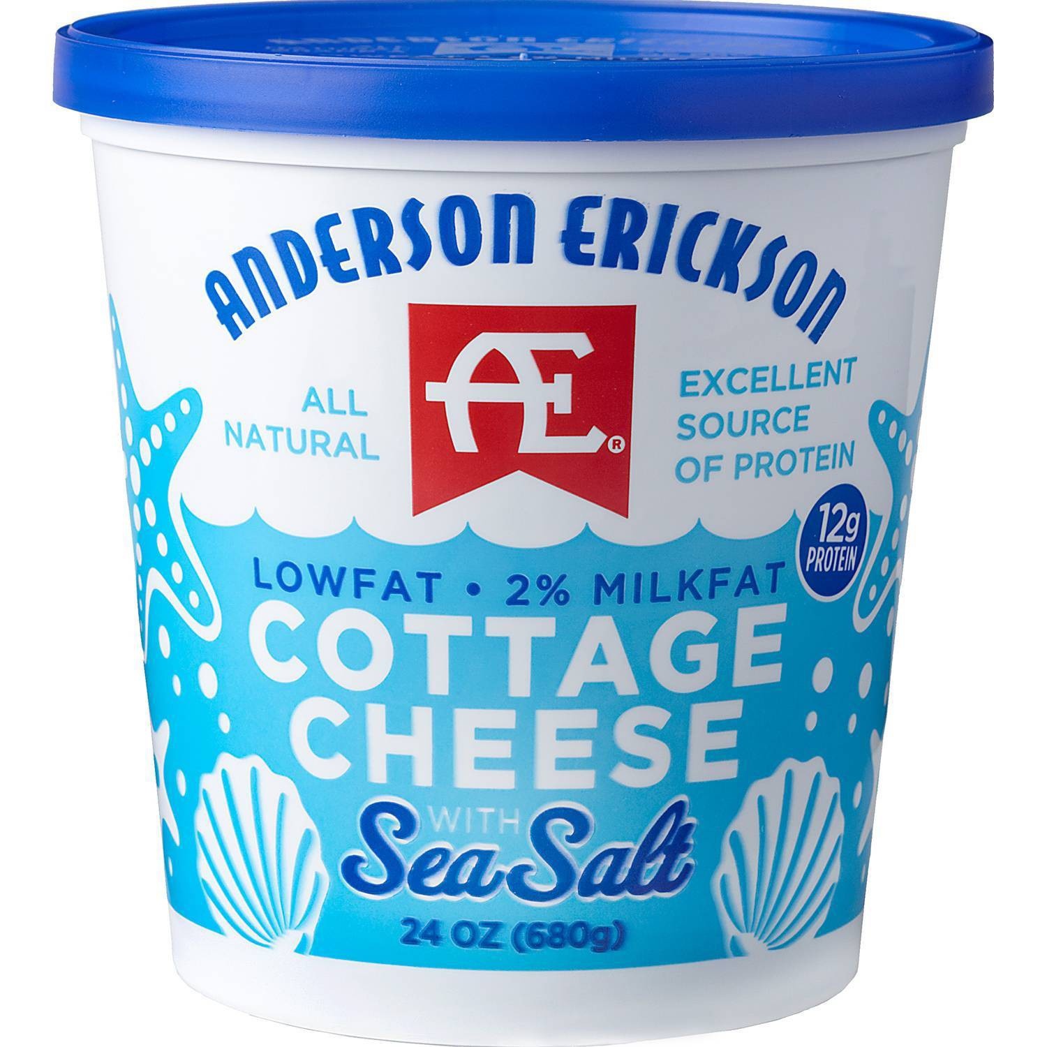 slide 1 of 1, AE Dairy 2% Lowfat Cottage Cheese with Sea Salt, 24 oz