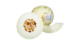 Fresh Picasso Melon