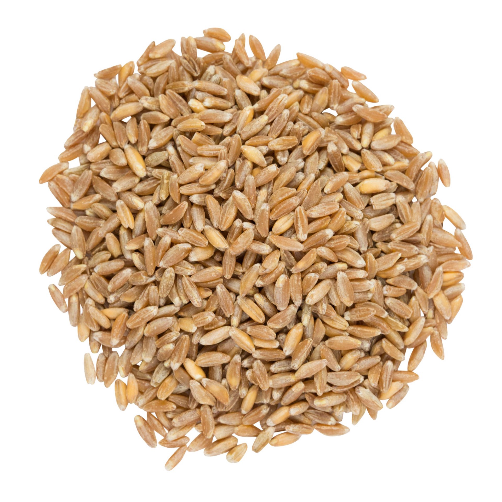 slide 1 of 1, SunRidge Farms Bulk Organic Farro Wheat, per lb