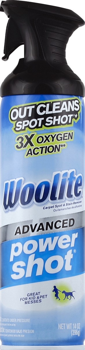 slide 1 of 3, Woolite Carpet Spot & Stain Remover 14 oz, 14 oz