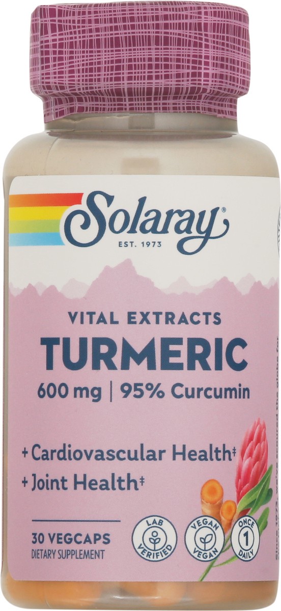 slide 7 of 9, Solaray Vital Extracts Turmeric 95% Curcumin, 30 ct