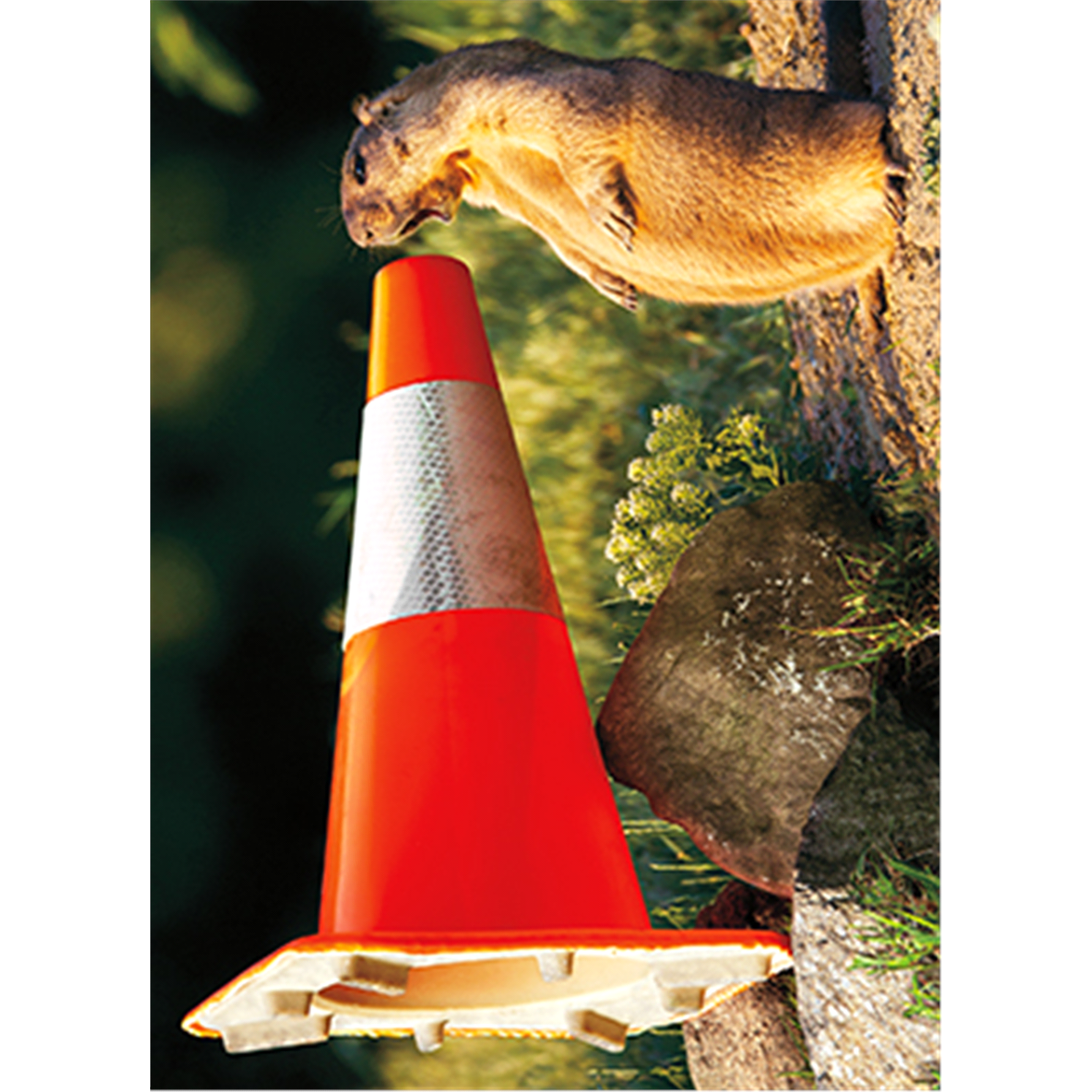 slide 1 of 1, Avanti Card Graduation Groundhog Construction Cone, 1 ct