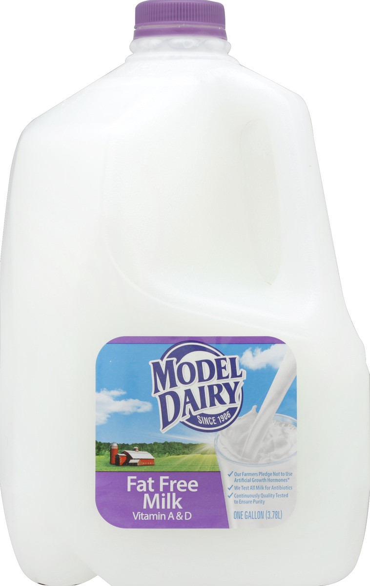 slide 2 of 4, Model Dairy Skim Gallon, 1 gal
