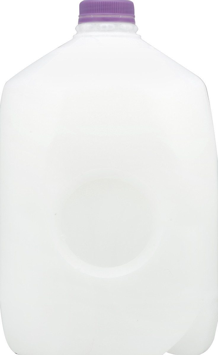 slide 3 of 4, Model Dairy Skim Gallon, 1 gal