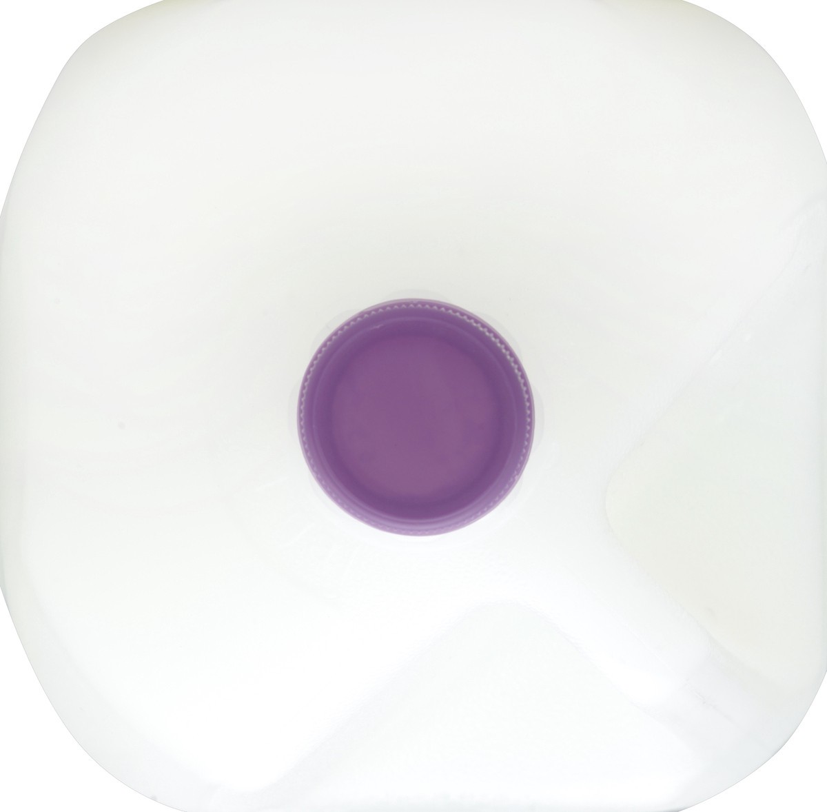 slide 4 of 4, Model Dairy Skim Gallon, 1 gal