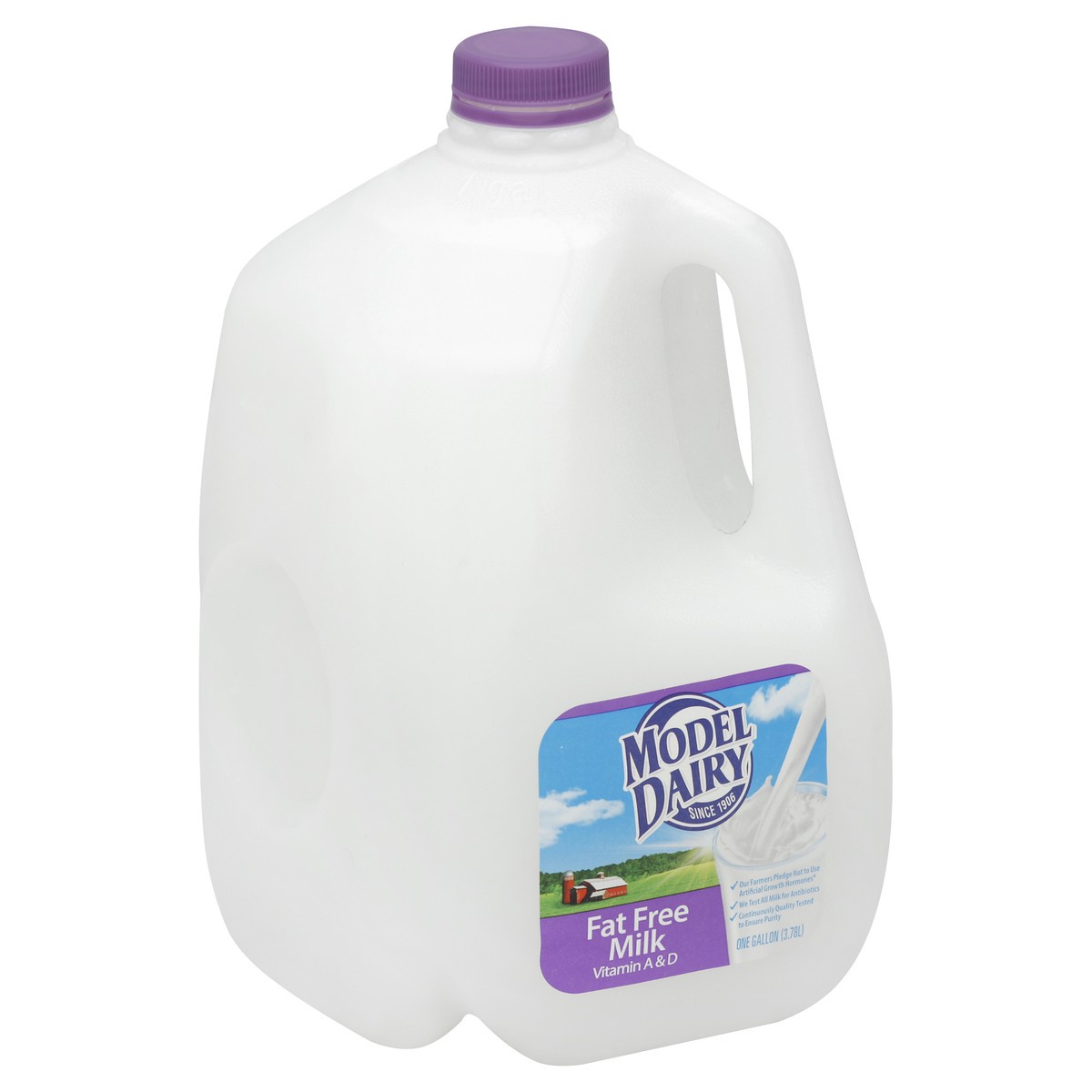 slide 1 of 4, Model Dairy Skim Gallon, 1 gal