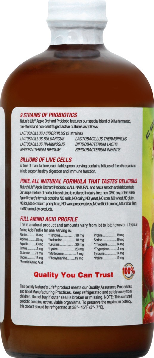 slide 6 of 12, Nature's Life Acidophilus Probiotic 16 oz, 16 oz