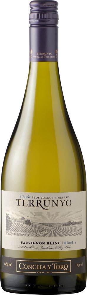 slide 2 of 2, Terrunyo Sauvignon Blanc, 750 ml