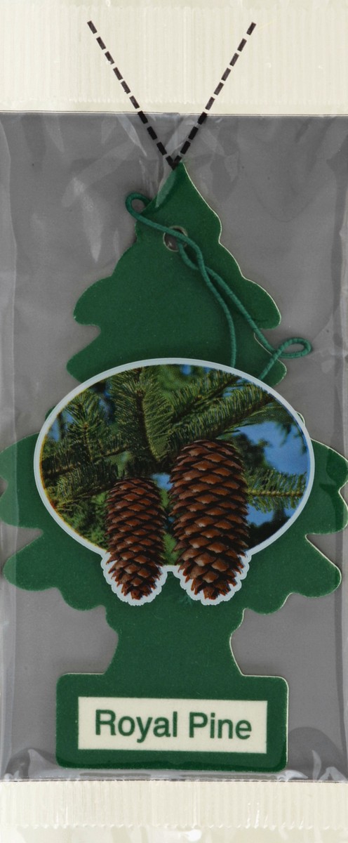 slide 1 of 3, Little Trees Air Freshener 1 ea, 1 ct