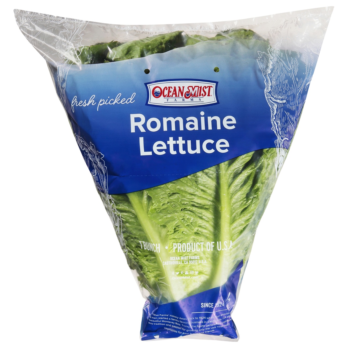 slide 1 of 1, Rouses Romaine Lettuce, 24 ct