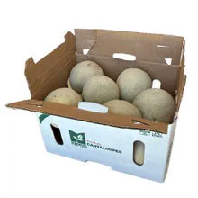 Markon First Crop Taloupe Melons