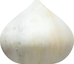 Produce Garlic 1 ea