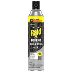 Raid Defend Wasp & Hornet Killer, Stinging Bug Insecticide for Outdoor Use, 17.5 oz