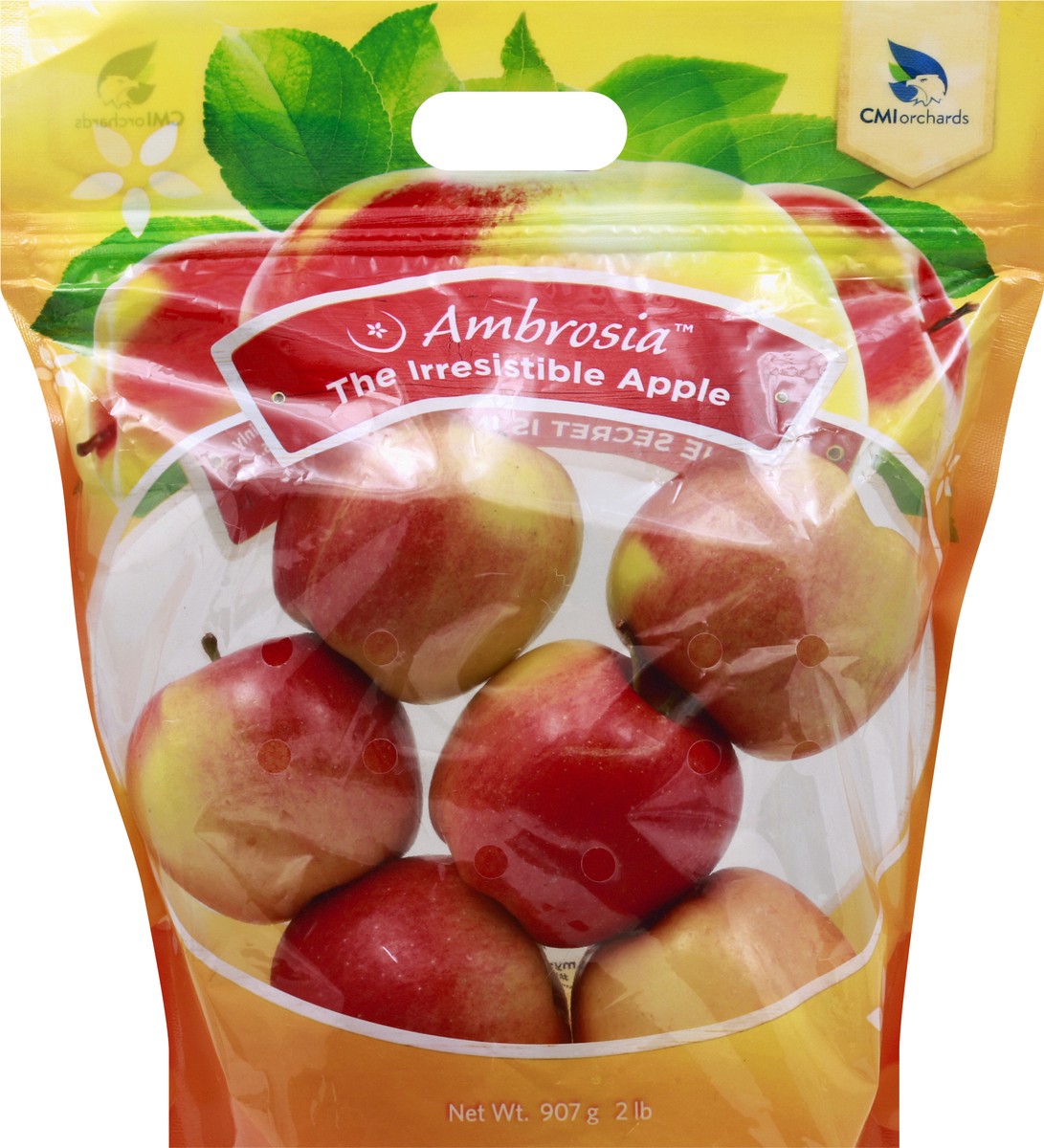 slide 5 of 6, Daisy Girl Organics Ambrosia Apple Pouch, 2 lb