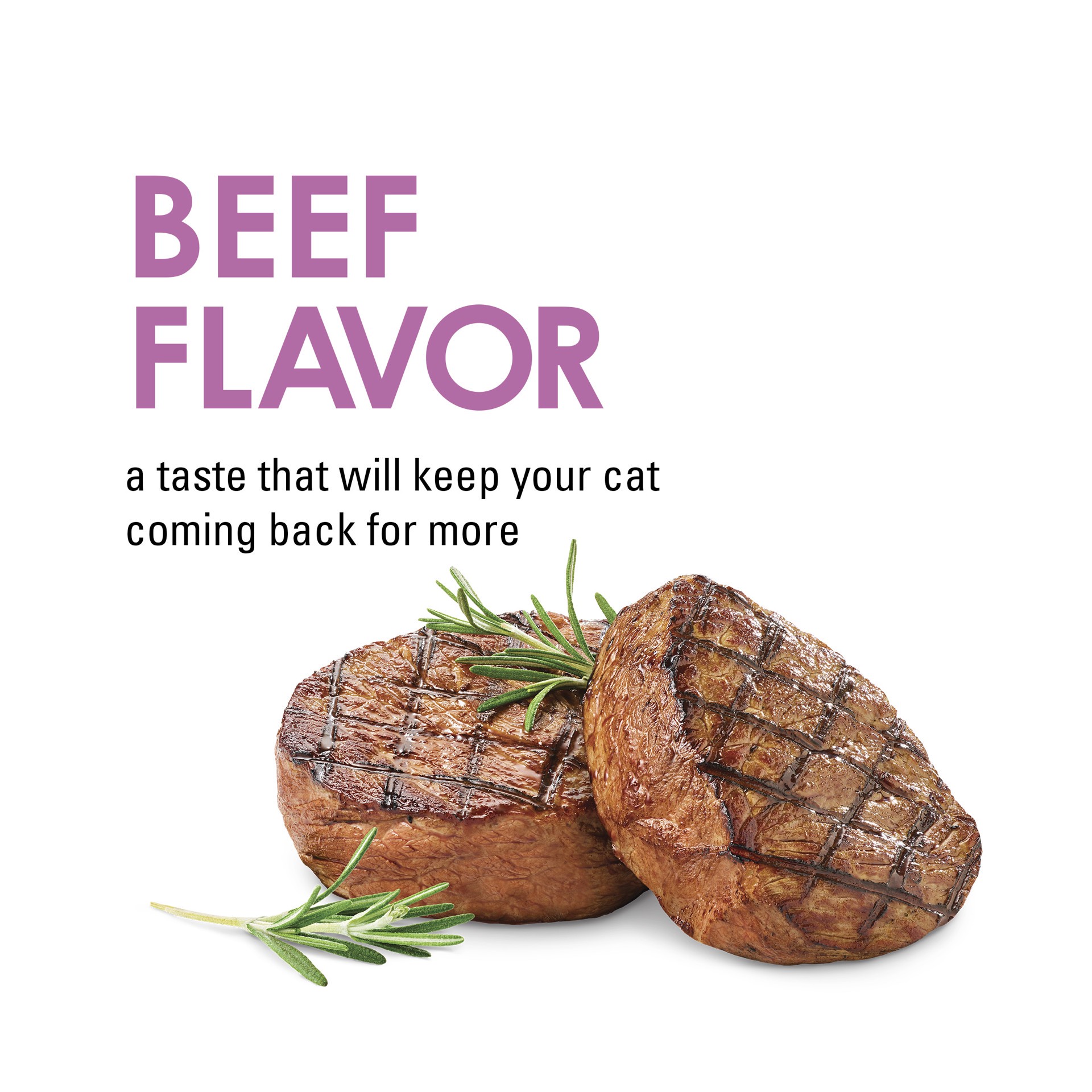 slide 7 of 9, Fancy Feast Purina Fancy Feast Limited Ingredient Cat Treats, Savory Cravings Beef Flavor, 3 oz