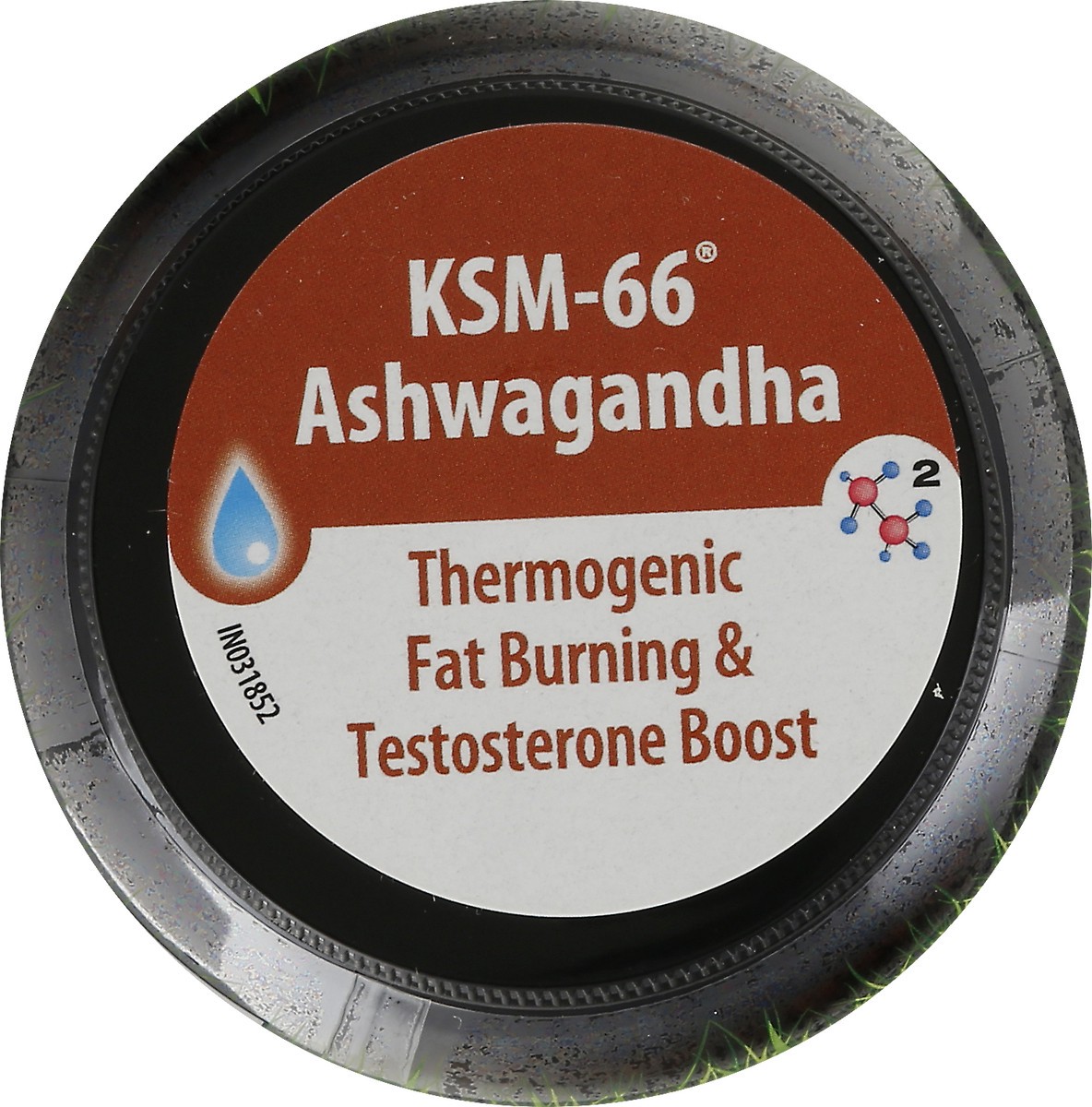 slide 11 of 12, Irwin Naturals Dual Action Testosterone-Extra Liquid Soft-Gels Fat Burner 68 ea, 68 ct